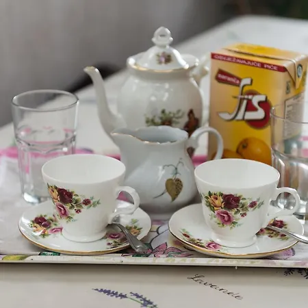 公寓 Tatjana 杜布罗夫尼克